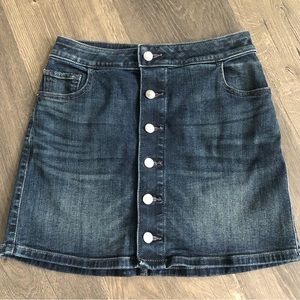 Express Denim Skirt